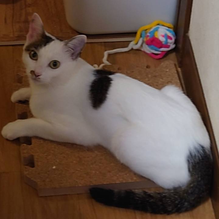 0ed11da2 4ad2 4f59 8216 17276fc71ff3 1692936310702