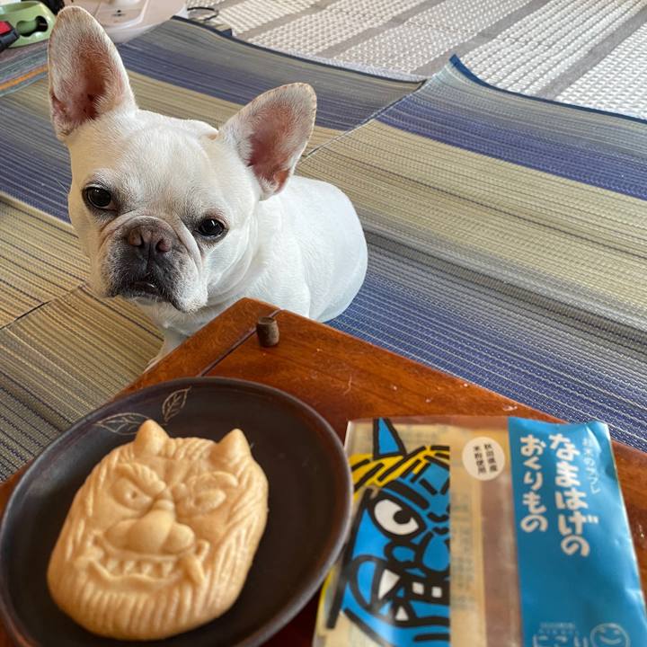 0ed140b3 f2c5 4159 bda6 ce970494da70 1754733024178