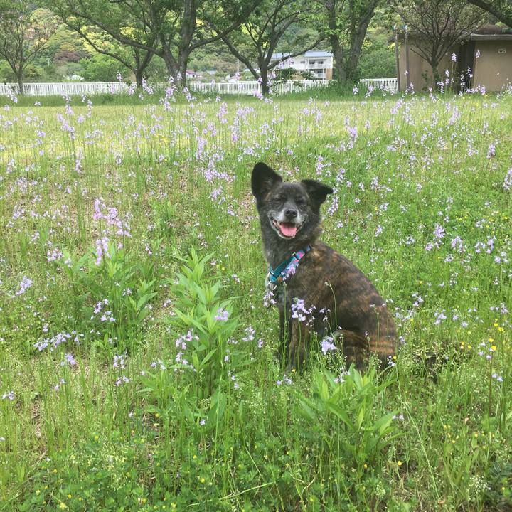 0ed14700 13a3 4c2c 9bd8 703e779132ba 1556330326953