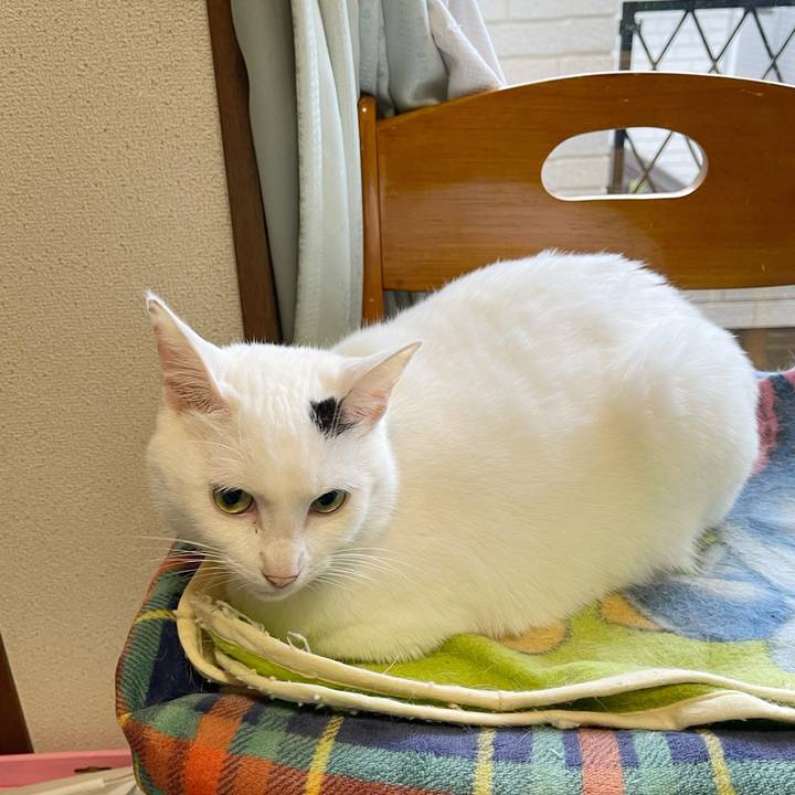 0ed15395 2738 417b ae8a 7824c3f5c304 1766616795107