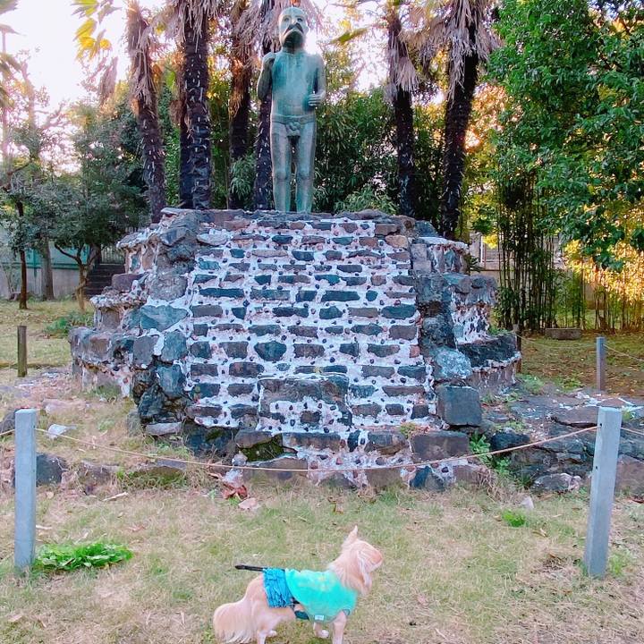 0ed19601 866d 4c41 a8b5 290b76b77f01 1636970076824