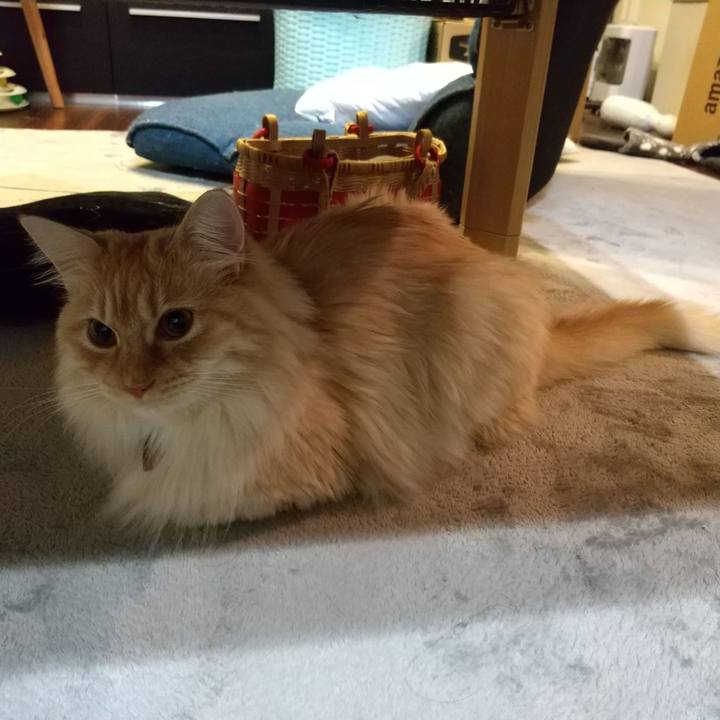 0ed1d742 87cb 4eb7 8a72 2e300571f056 1650198877279