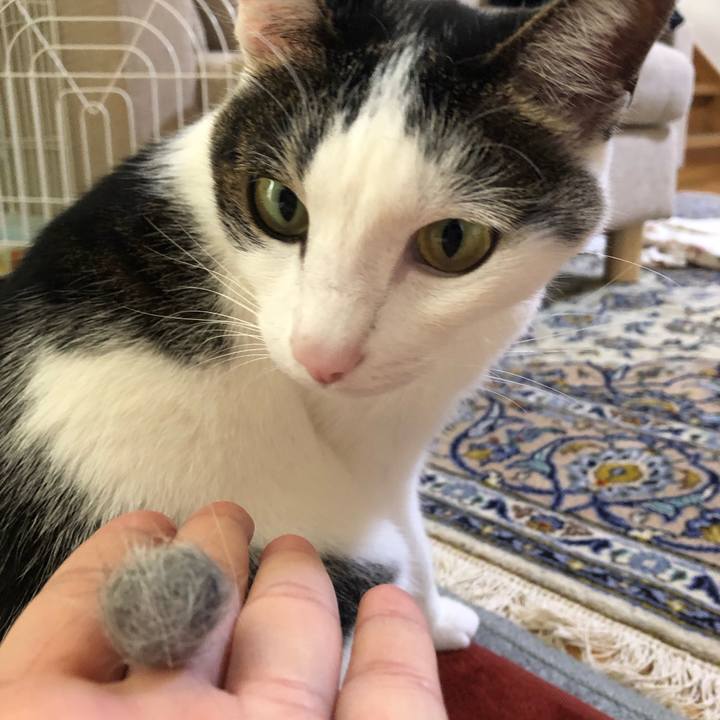 0ed1f557 b492 4bb3 82c2 84787b8bcbc9 1713772841577