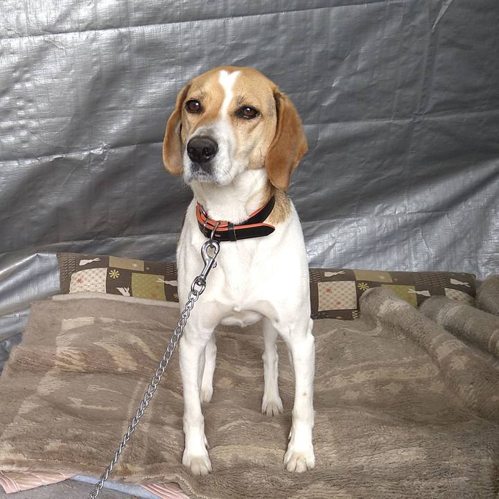 0ed210af d88f 43db 9085 6708db650cc1 1621431738675