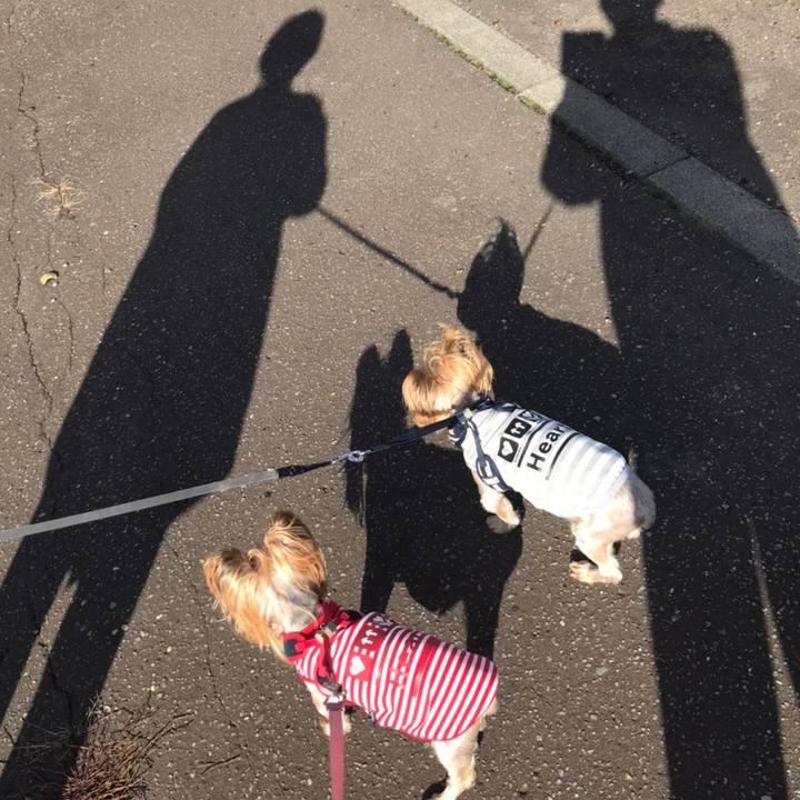 0ed221b1 2a45 42b3 a0a6 efb79cd1fcd1 1634977924112