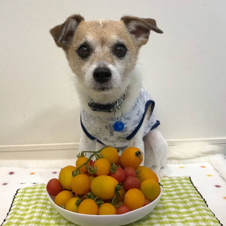 0ed23899 6f43 4f46 a8ae 1a6802eac2a0 1657516520658