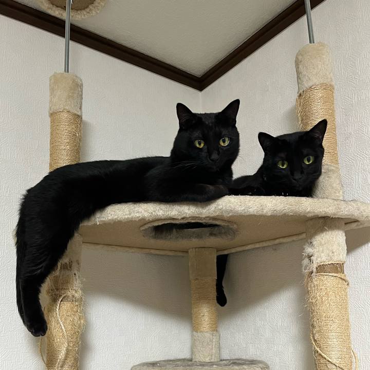 0ed254aa f376 4002 b83c 8b5b31f87596 1758116763978