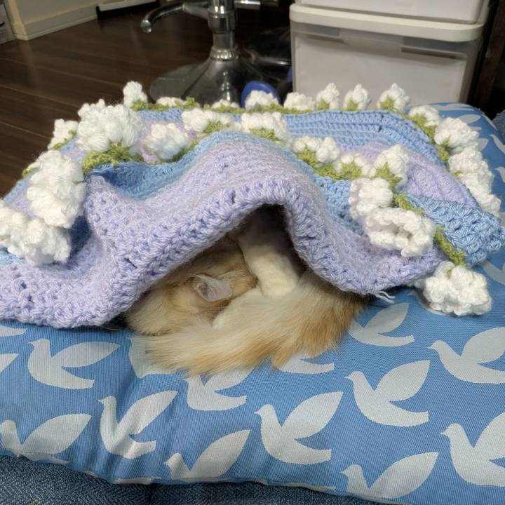 0ed263c3 c924 4caa bcab 44709497da60 1765638514040