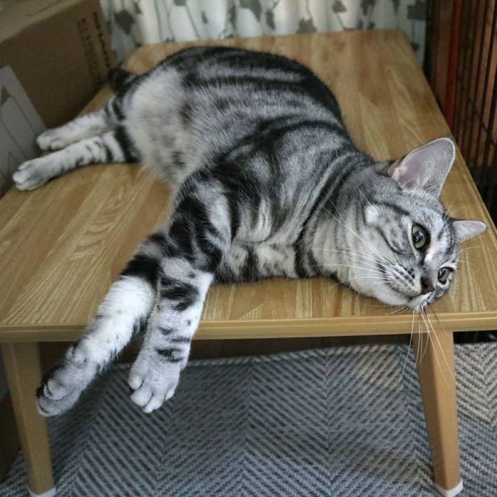 0ed2815e 34ee 4a58 9bc5 929b936e1971 1595139707793