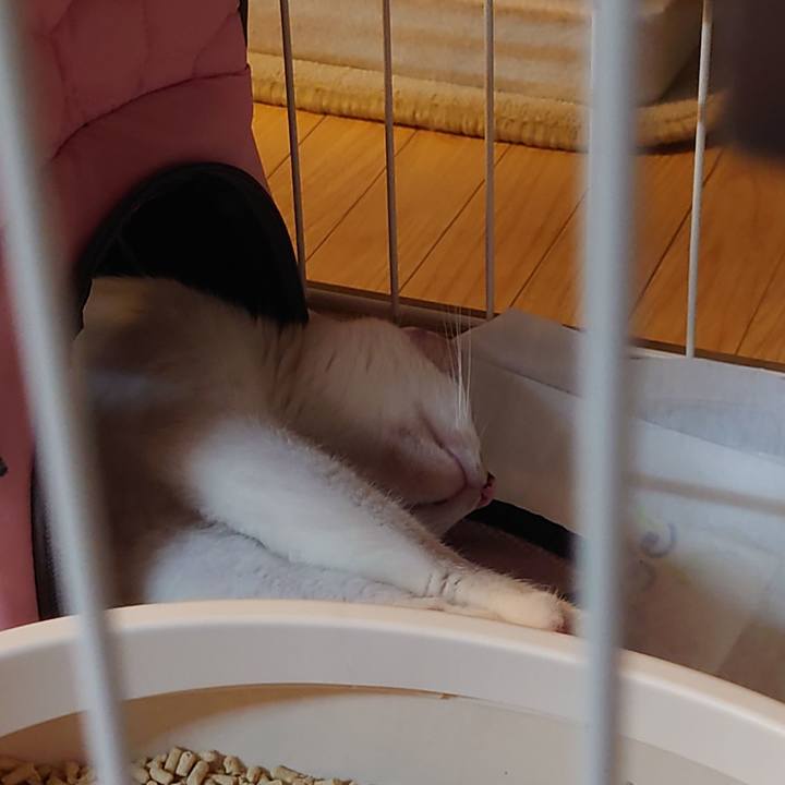 0ed28ccb e676 4168 a992 1e1d1fa7a9ee 1688901183233