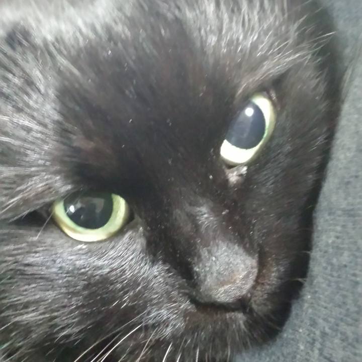 0ed2bd19 2e30 4c85 a5b9 348b30eb5d27 1516831101541