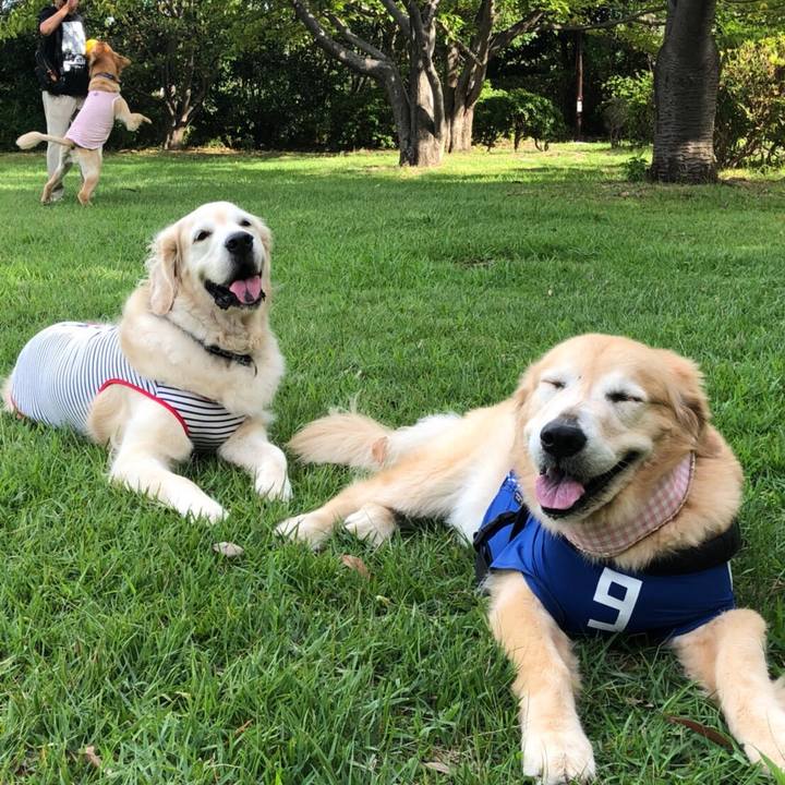 0ed2c9f6 aef9 4b4e bf4c 79449d427b2f 1536486803817