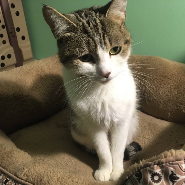 0ed2e517 807a 4ca4 ae54 385d47aa0911 1632793676884