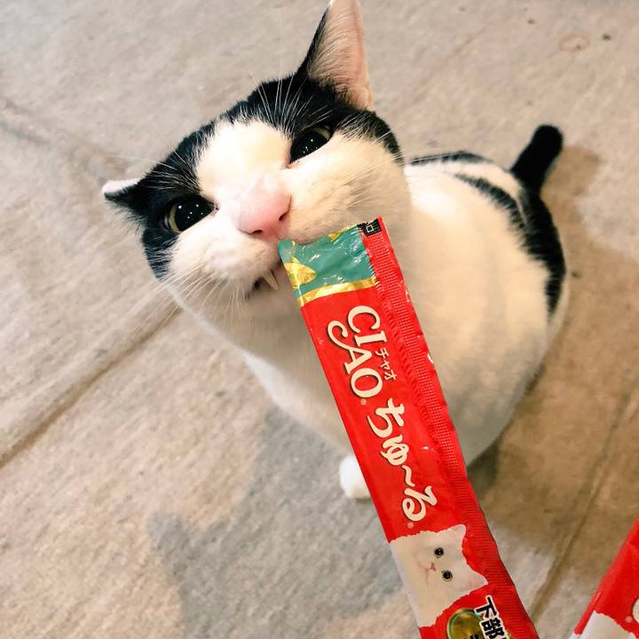 0ed2f810 6ce9 4d27 96c8 71bcb5b19a4b 1543315654488