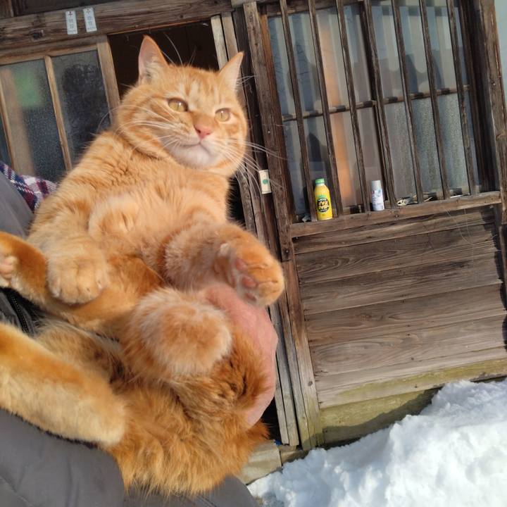 0ed33104 b19f 4ee4 8cf3 8507ce3d4bcc 1675210661120