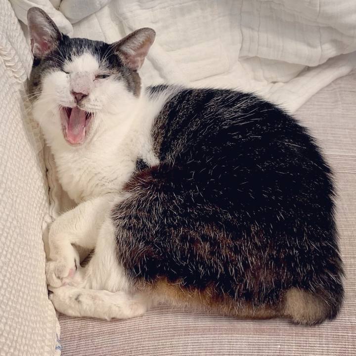 0ed34d77 0793 42df 804d 1d47c1973a81 1615004591268