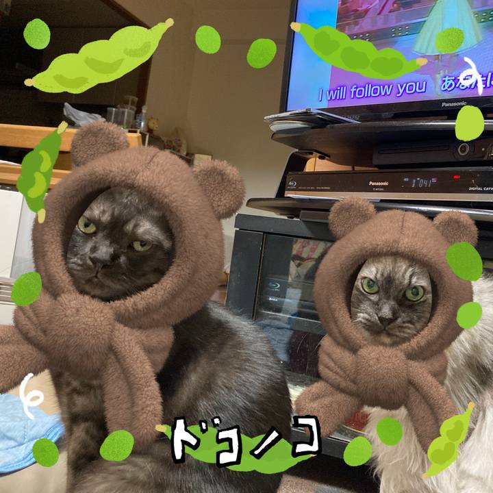 0ed358e6 3ebd 49e9 8c11 e1813134869c 1721349035499