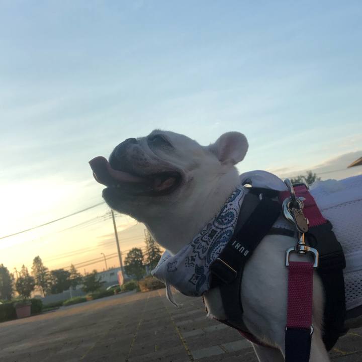 0ed35b0c 95aa 4cb4 a5b6 c8982b0109d4 1597589871494