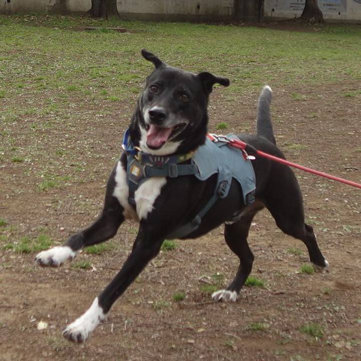 0ed39f8b 133c 458a 882c bfe46fc605f6 1710808974547