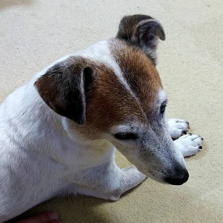 0ed3ce4b b092 4229 8bbe edb931b2a53e 1566915518487