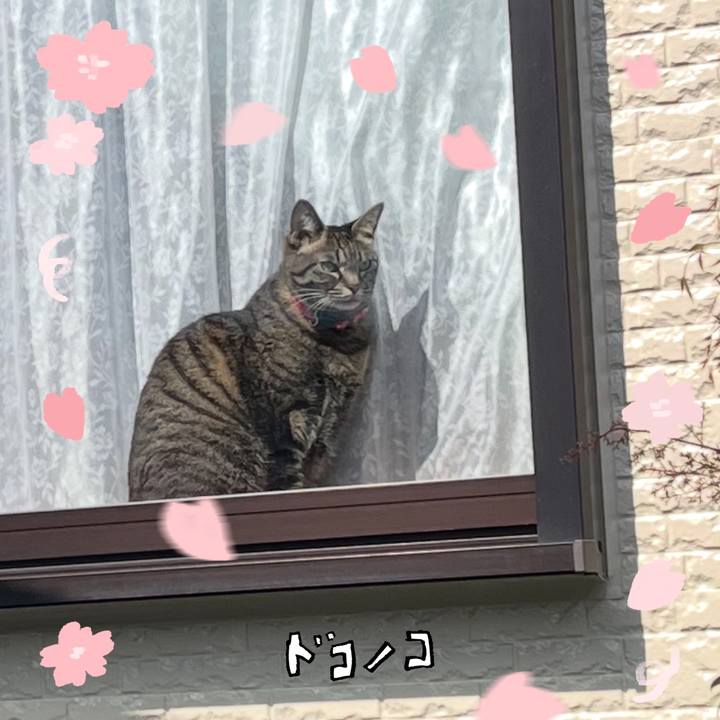 0ed3d17d 3763 4f4f 99db 44167fe2c9a6 1744696602059