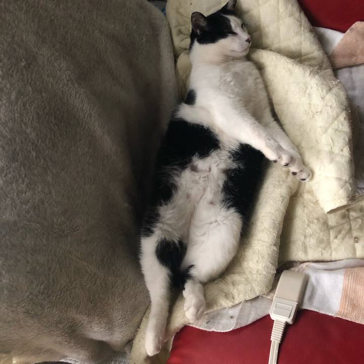 0ed4150c b918 491f 9474 9234c1dd7a19 1615104926584