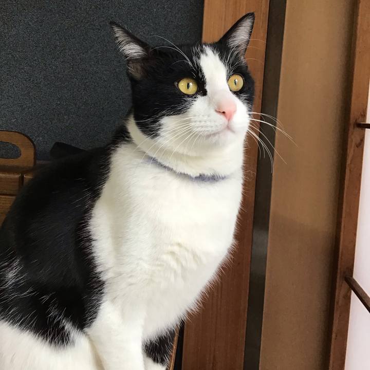 0ed41674 6ee7 48a0 bbdb 38afc2c1daf6 1645321024706