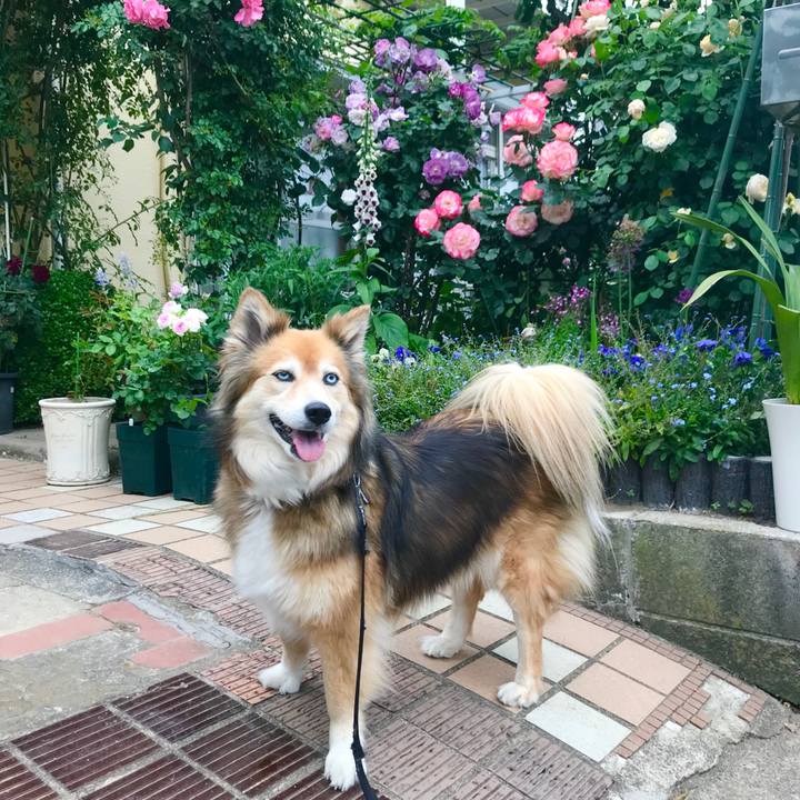 0ed470ac 4232 45b5 b5d5 5727ff17a595 1589530348292