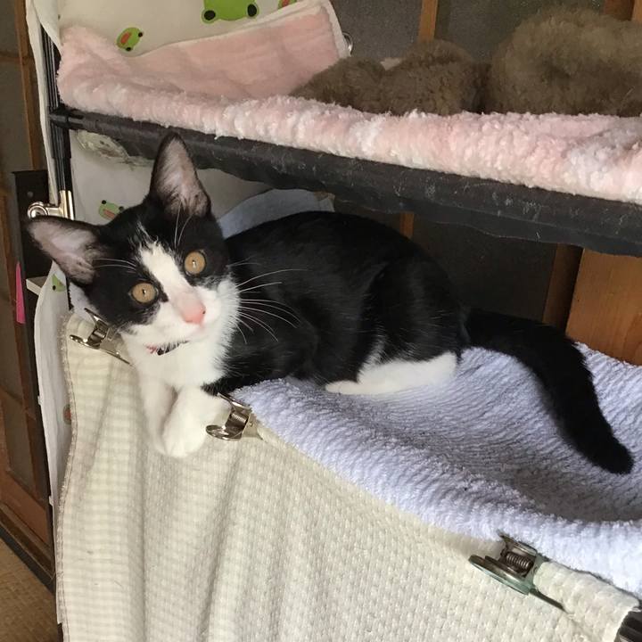 0ed48397 4eb3 4bc3 8957 42fc4c157000 1628310731099