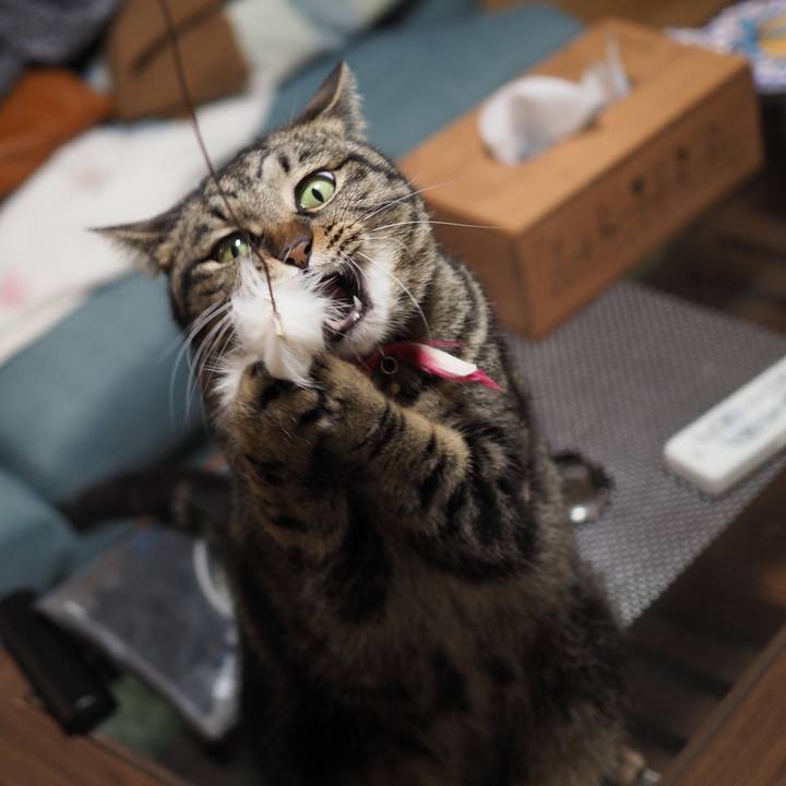 0ed48da9 6633 4e54 9280 5e629310d7f6 1651304576188