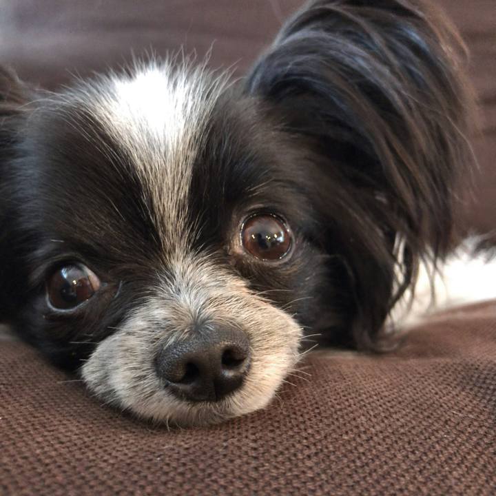 0ed49684 153a 4257 b198 c3894189539d 1523865500055