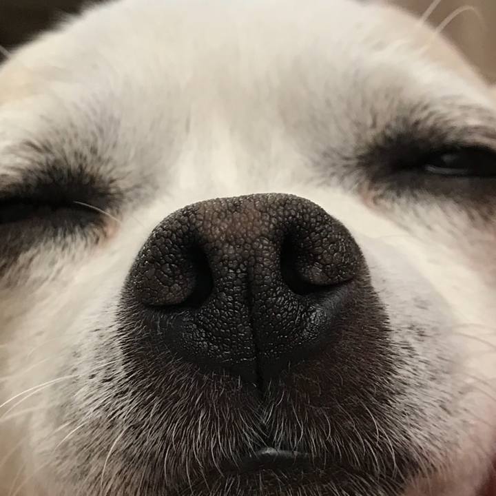 0ed49f30 33b3 4d22 afa1 d8dfdc76c055 1523777644205