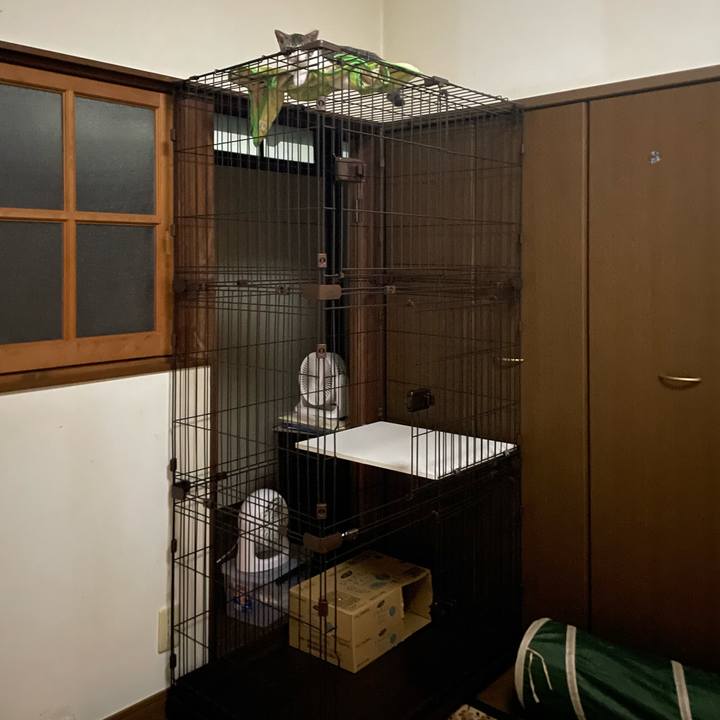 0ed4b6d7 9a55 4a8e 8799 656ee101b6d5 1724203939198