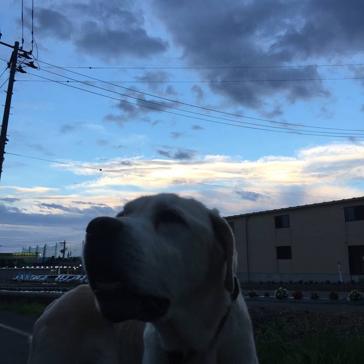 0ed4fa06 413c 47c9 a1ee 64deb3cf650e 1530273865143