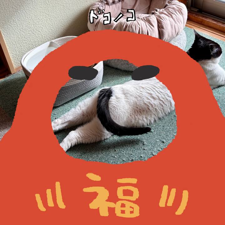 0ed50c20 0e0c 43d9 9acc 4761b4a070fa 1772018659451