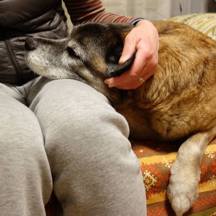 0ed50c72 a75c 42d4 bbc9 9304eddeae60 1632099876404