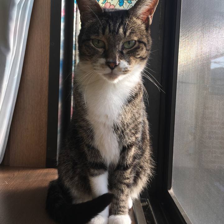 0ed5340d 1d40 45f9 b2af 824d15bd1c70 1508975578224