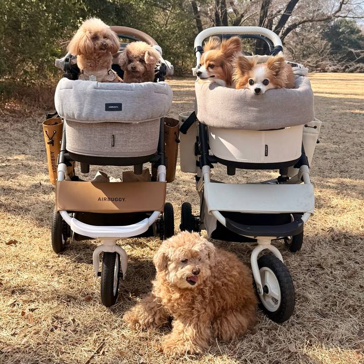 0ed55365 4700 40a4 a1a6 a2fadb5891cb 1771837293982