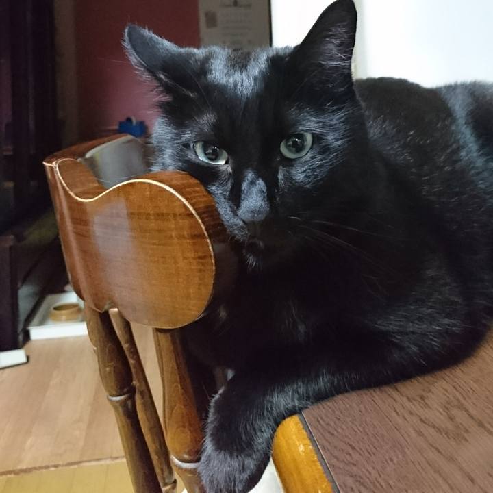 0ed55cd4 7373 4d54 af36 58e683782d53 1535365559308