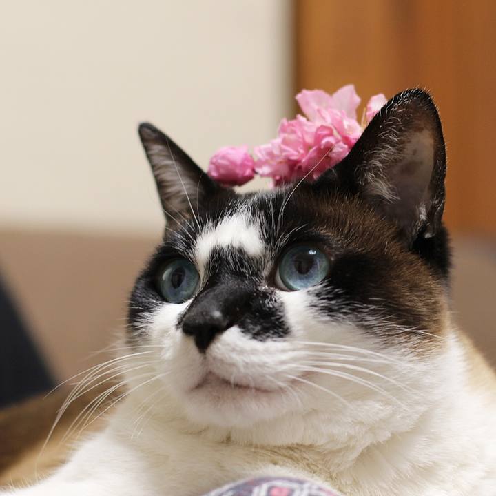 0ed56182 2505 4c74 b133 aa333625ca99 1523019682445