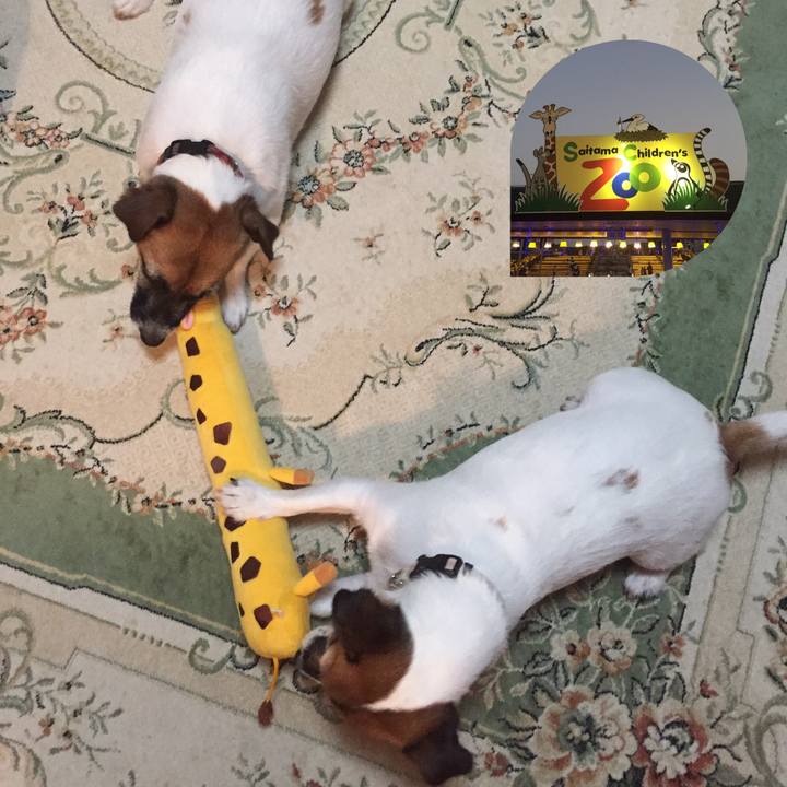 0ed5633e 7fde 4a15 892e 5f4d653b1984 1566044000097