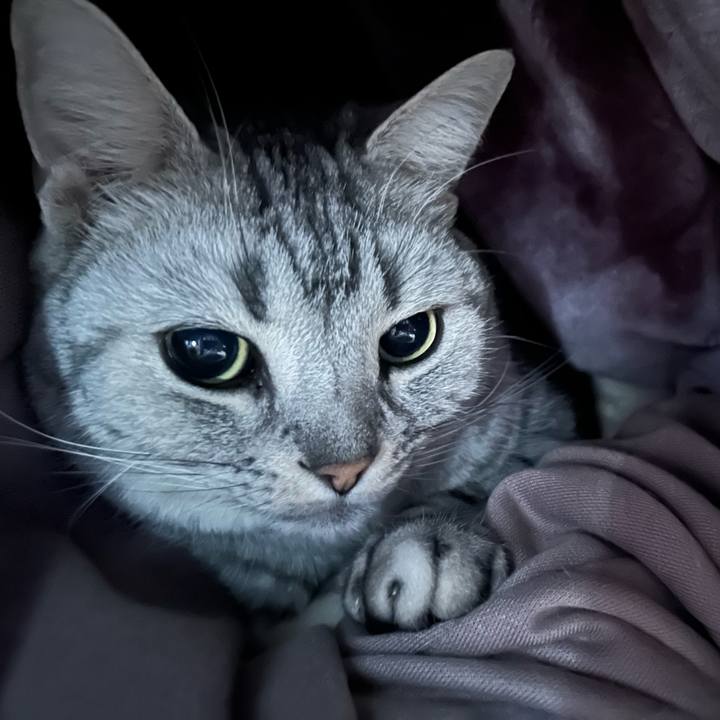 0ed5743d eac4 4628 8664 534c00dbba56 1707008118921