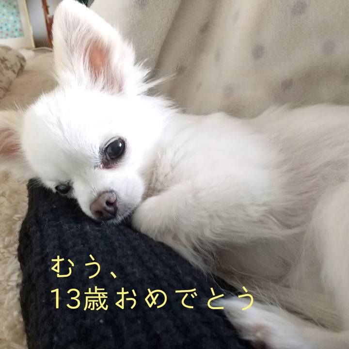 0ed575e5 30a5 4bf9 8440 e6763ab88938 1585742337967