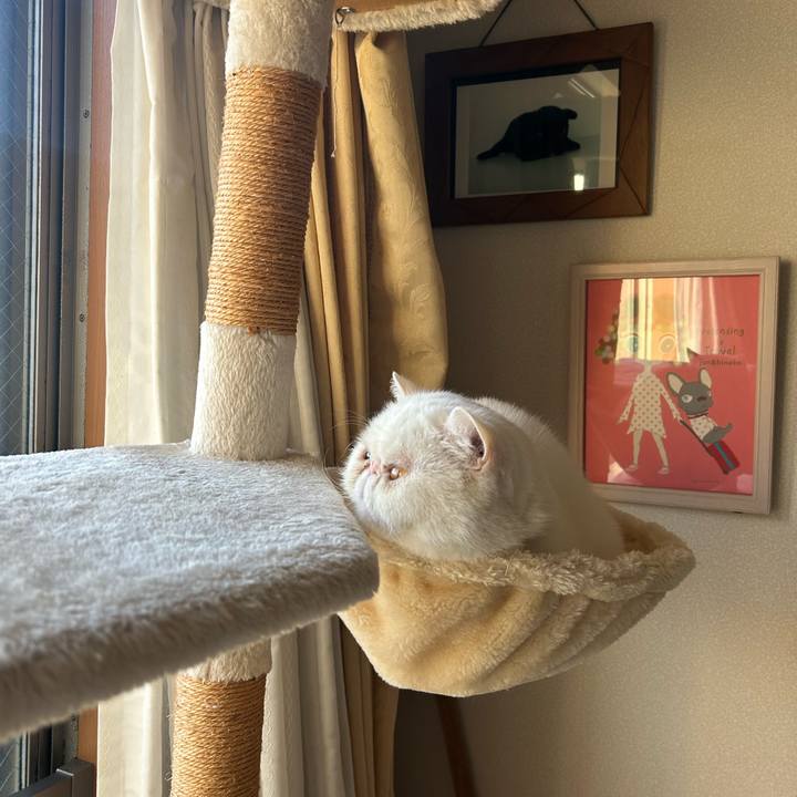 0ed5a11a d517 4346 bf53 b766998b2785 1740053844514