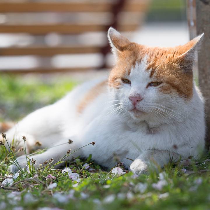 0ed5a1ef 1749 4d74 907f 68caa9c1a092 1554742867678