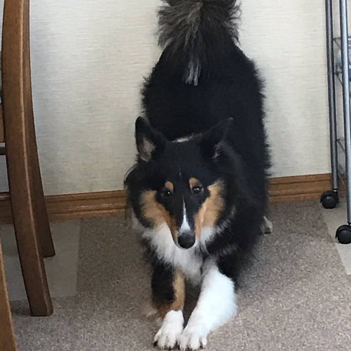 0ed5ac8b 39d2 46b4 bd99 ac9f10fa3883 1540418818924