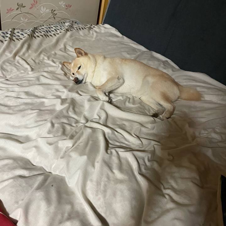 0ed5bf14 7afa 4852 b8df 73bc934e74a9 1746798404275