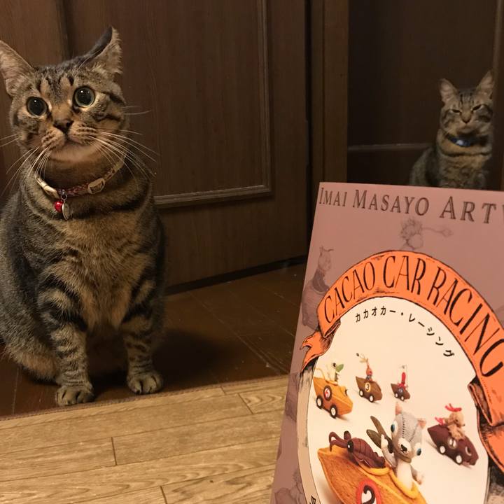 0ed5c889 712b 4d4c 8003 bb93502af0ed 1559569263217