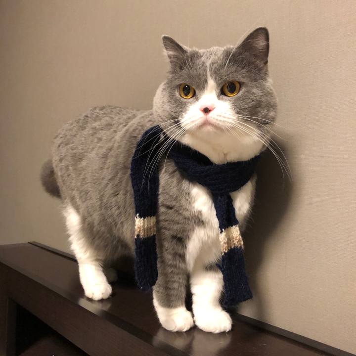 0ed5d56b c4c8 4a5b 92df 1226ad9ce443 1550803929089