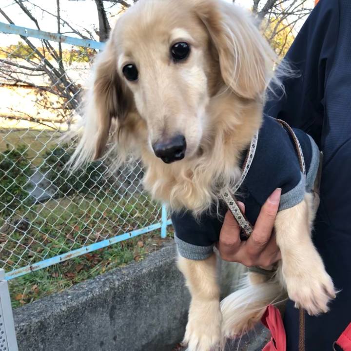 0ed5fd4e 67ba 40c5 b99c 32ff93999dbf 1613227337983